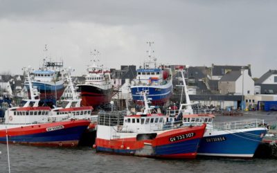 Plan de sortie de flotte en Normandie